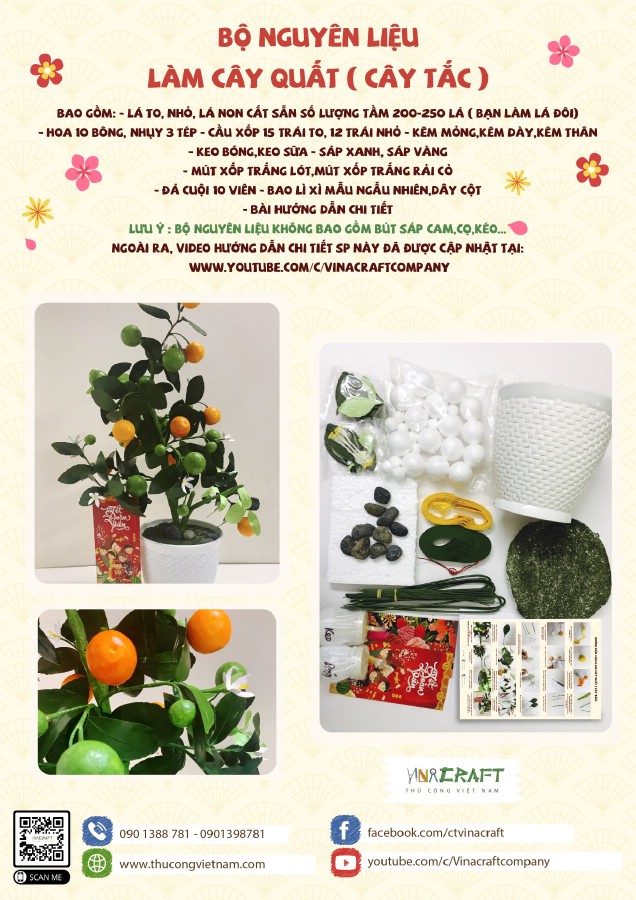 Bộ kit chậu cây quất Handmade